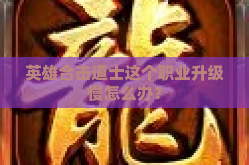 英雄合击道士这个职业升级慢怎么办？