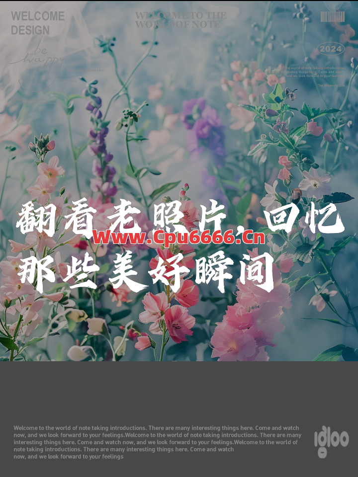 只记住了那些片刻的记忆