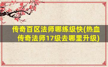 单职业传奇法师玩家更具综合战斗力