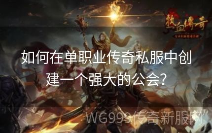 单职业传奇玩家为何对公会很感兴趣？